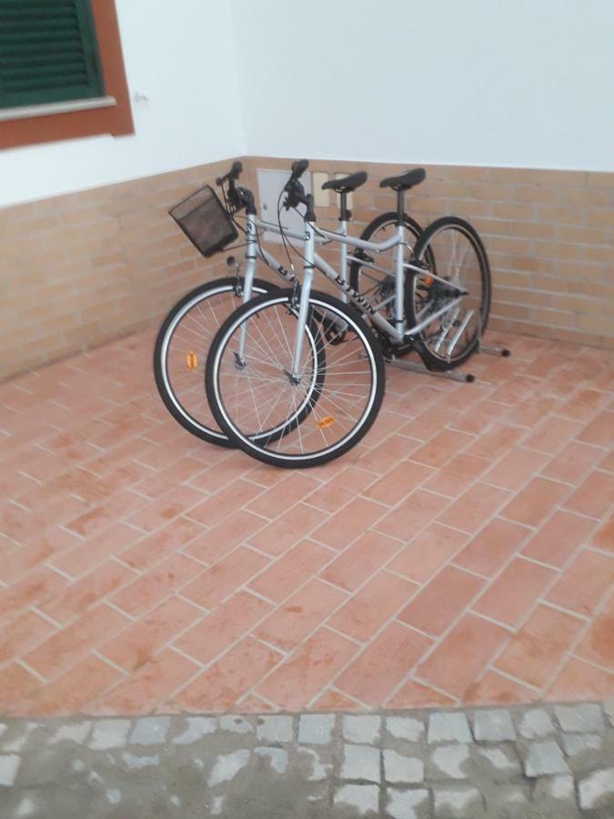Alojamento Local Patudos, Suite Com Terraco Privado 타비라 외부 사진