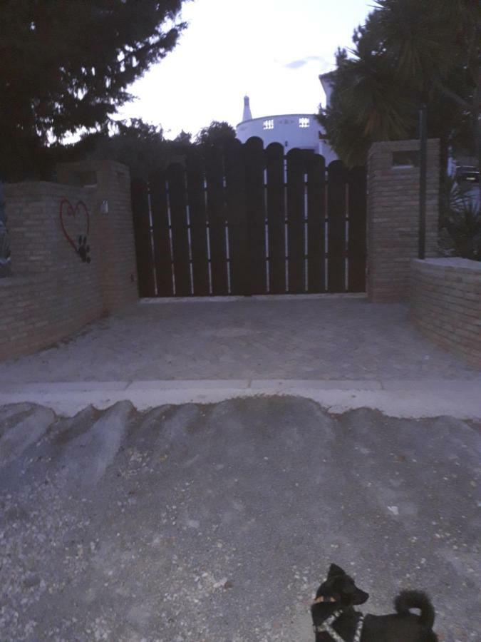 Alojamento Local Patudos, Suite Com Terraco Privado 타비라 외부 사진